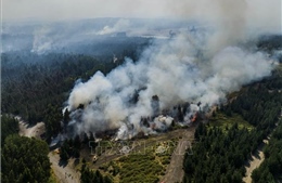 Chile &#39;báo động đỏ&#39; về nguy cơ cháy rừng tại miền Nam và miền Trung