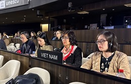 Việt Nam trúng cử Phó Chủ tịch ủy ban bảo vệ đa dạng văn hóa của UNESCO
