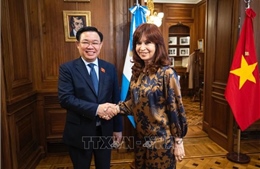 Chủ tịch Quốc hội Vương Đình Huệ gặp Chủ tịch Thượng viện, Phó Tổng thống Argentina 