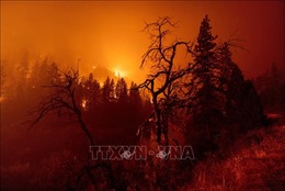 Bang California (Mỹ) đối mặt với cháy rừng sau đợt tuyết rơi và mưa lớn
