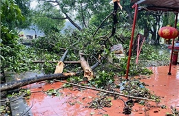 Yên Bái thiệt hại khoảng 11 tỷ đồng do mưa to kèm theo gió lốc