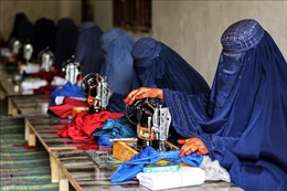 Taliban cấm phụ nữ làm việc cho phái bộ Liên hợp quốc 