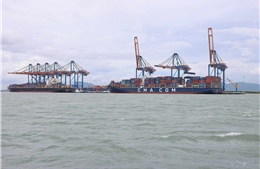 Trình Thủ tướng Đề án nghiên cứu cảng trung chuyển quốc tế Cần Giờ theo hướng cảng xanh