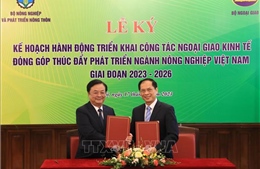 Phối hợp triển khai ngoại giao kinh tế đưa nông sản Việt vươn xa 