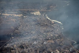 Cháy rừng khiến ô nhiễm không khí tại Bắc Mỹ thêm trầm trọng