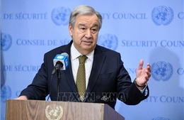 Liên hợp quốc thúc đẩy khôi phục hòa đàm tại CH Cyprus