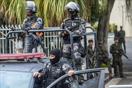 Cảnh sát Brazil truy quét các băng nhóm tội phạm