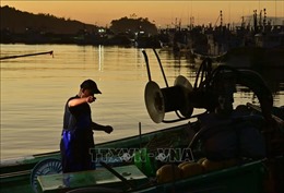 Nhật Bản hỗ trợ ngành đánh bắt cá sau lệnh cấm của Trung Quốc