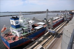 Ukraine vận chuyển 9,2 triệu tấn ngũ cốc qua cảng của Romania
