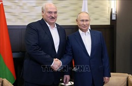 Tổng thống Nga, Belarus gặp nhau tại Sochi thảo luận về quan hệ song phương