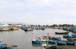 Khắc phục &#39;thẻ vàng&#39; IUU: Bình Thuận tập trung kiểm soát chặt tàu cá 