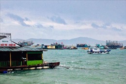 Quảng Ninh tạm ngừng cấp phép cho các phương tiện thủy ra khơi 