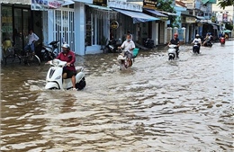 Vĩnh Long xây dựng 2 kịch bản ứng phó với mưa lũ, triều cường 