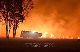 Cháy rừng hoành hành ở miền Đông Australia