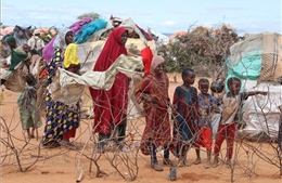FAO cần 11,8 triệu USD để giúp Somalia chống &#39;siêu El Nino&#39;