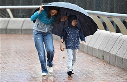 Hong Kong cho học sinh nghỉ học do mưa lớn
