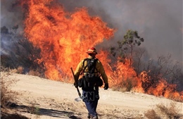 Hàng nghìn người sơ tán vì cháy rừng lan rộng ở bang California