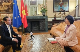 Đại sứ Nguyễn Văn Thảo nhấn mạnh chương mới trong hợp tác Việt Nam - Luxembourg