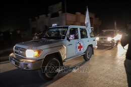 Hội Chữ thập đỏ hỗ trợ trao trả con tin tại Gaza