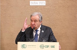 Liên hợp quốc kêu gọi các nước phát triển thực hiện đầy đủ cam kết về khí hậu