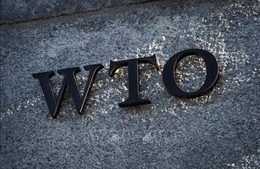 Đàm phán các quy tắc thương mại điện tử tại WTO đạt tiến triển mạnh mẽ