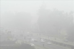 Sương mù dày đặc kéo dài nhiều ngày tại Ấn Độ
