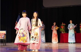 Đại sứ quán Việt Nam tại Mỹ tổ chức chương trình Xuân quê hương