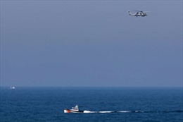 Thổ Nhĩ Kỳ không cho phép hai tàu săn mìn của Anh đến Ukraine