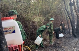 Khống chế đám cháy rìa rừng Vườn quốc gia Phú Quốc