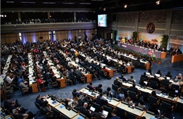 Khai mạc Kỳ họp thứ 6 Đại hội đồng Môi trường Liên hợp quốc