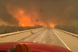 Mỹ: Lực lượng cứu hỏa khống chế đám cháy rừng lớn nhất lịch sử bang Texas