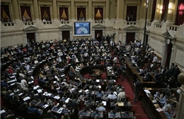 Quốc hội Argentina bác bỏ chính sách cải cách của Tổng thống Milei
