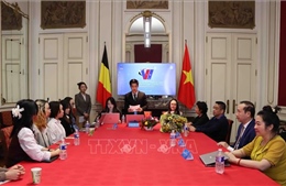 Hội Sinh viên Việt Nam tại Bỉ gắn kết và phát triển
