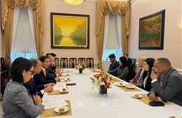 Bộ trưởng Ngoại giao Bùi Thanh Sơn dự tọa đàm về quan hệ Việt Nam - Hoa Kỳ 