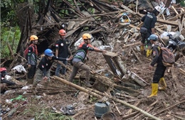 Tìm thấy 5 thi thể sau vụ lở đất ở Indonesia