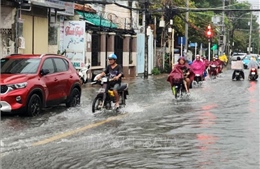 Vĩnh Long ứng phó triều cường dự báo vượt mức báo động 3