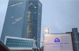 ECB tính toán giảm lãi suất