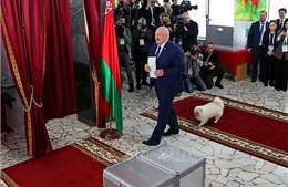 Ông Lukashenko giành số phiếu áp đảo trong cuộc bầu cử Tổng thống Belarus