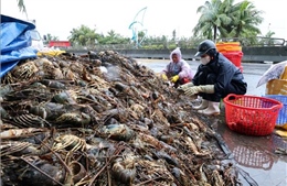 Gỡ &#39;điểm nghẽn&#39; hoàn thuế, hỗ trợ doanh nghiệp khắc phục hậu quả bão lũ