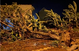 Quảng Ngãi khẩn cấp di dời dân trong đêm