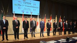 Hội đồng CPTPP khẳng định quyết tâm thực thi đầy đủ thỏa thuận