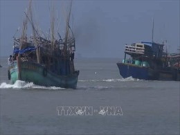 Ảnh hưởng bão số 1: Nhiều tàu thuyền ở đảo Thổ Châu, Phú Quốc bị sóng đánh chìm