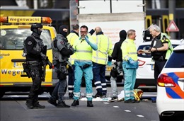 Không loại trừ khả năng khủng bố trong vụ xả súng tại Hà Lan