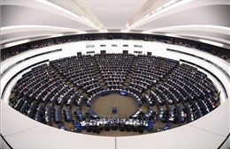 Nghị viện châu Âu phản đối khởi động đàm phán thương mại EU - Mỹ