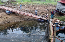 Nước sông Đà xuống thấp kỷ lục, người nuôi cá lồng gặp khó