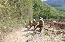 Công điện khẩn về phòng cháy, chữa cháy rừng