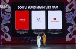 Techcombank được vinh danh &#39;Đơn vị vững mạnh Việt Nam&#39; tại WeChoice Awards 2024