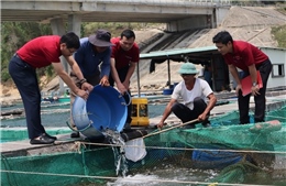 Agribank đồng hành phát triển kinh tế biển, hỗ trợ người dân khôi phục sản xuất 