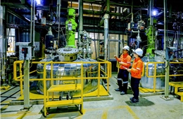 Công ty khoáng sản của Tập đoàn Masan được hưởng lợi từ chu kỳ siêu giá vonfram