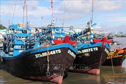 Đẩy mạnh tuyên truyền ngăn chặn khai thác hải sản bất hợp pháp